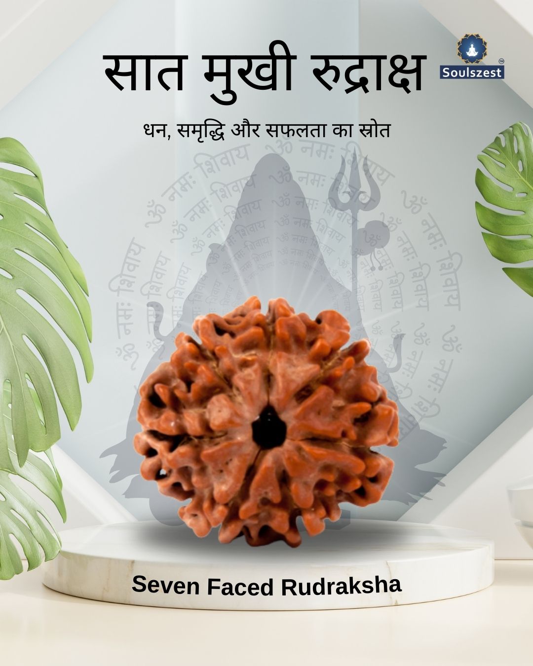 Rudraksha (3)